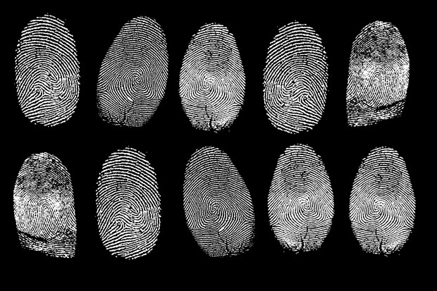 fingerprints1